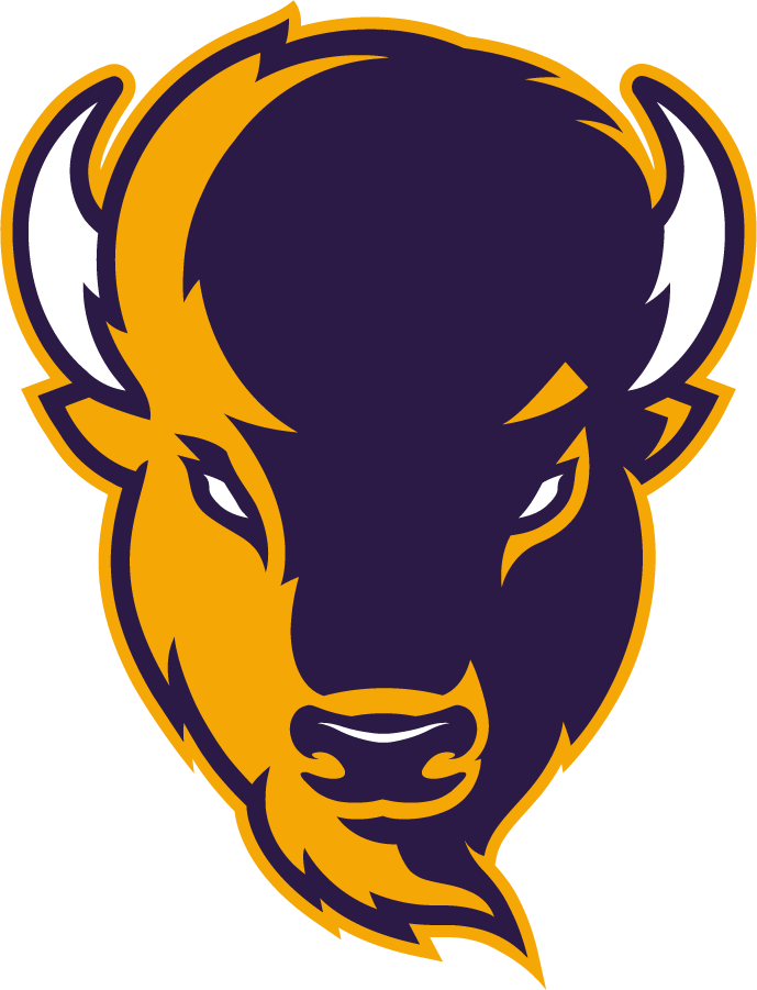Lipscomb Bisons 2020-Pres Alternate Logo v3 iron on transfers for T-shirts